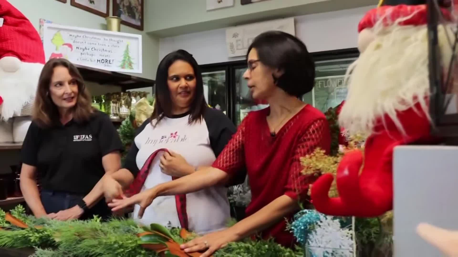 Thumbnail image for Solutions for Your Life |Holiday Decorations w/ Fresh Foliage