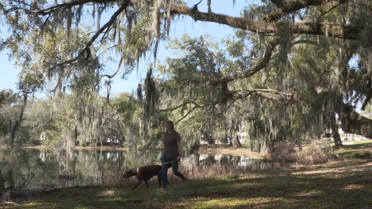 Wild Florida | Living With Wildlife: Pet Safety