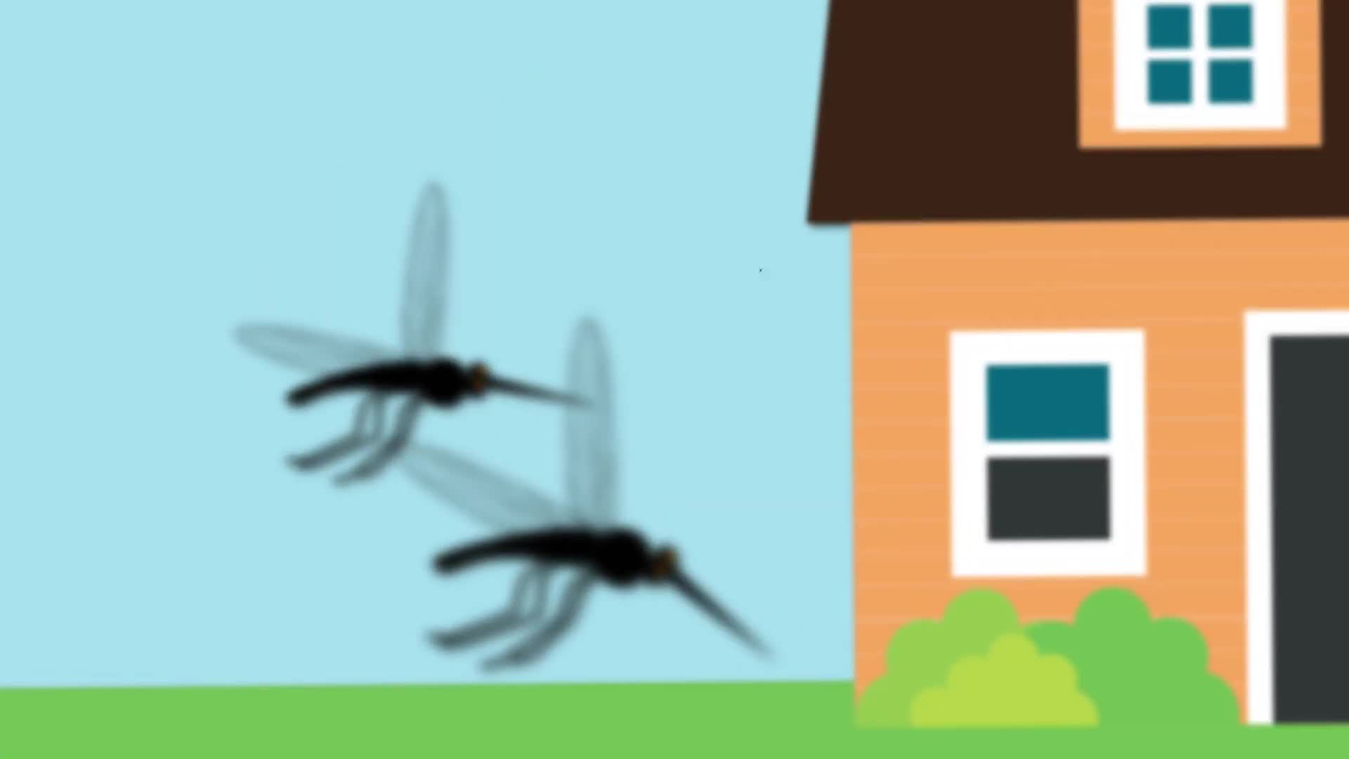 Florida Health | Fight mosquitoes with these simple tips