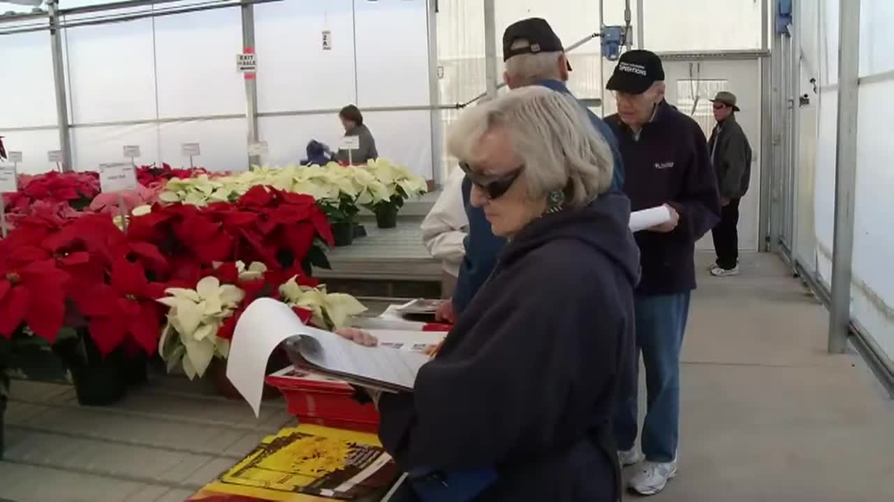 Thumbnail image for Solutions for Your Life | Poinsettia Plant Sale