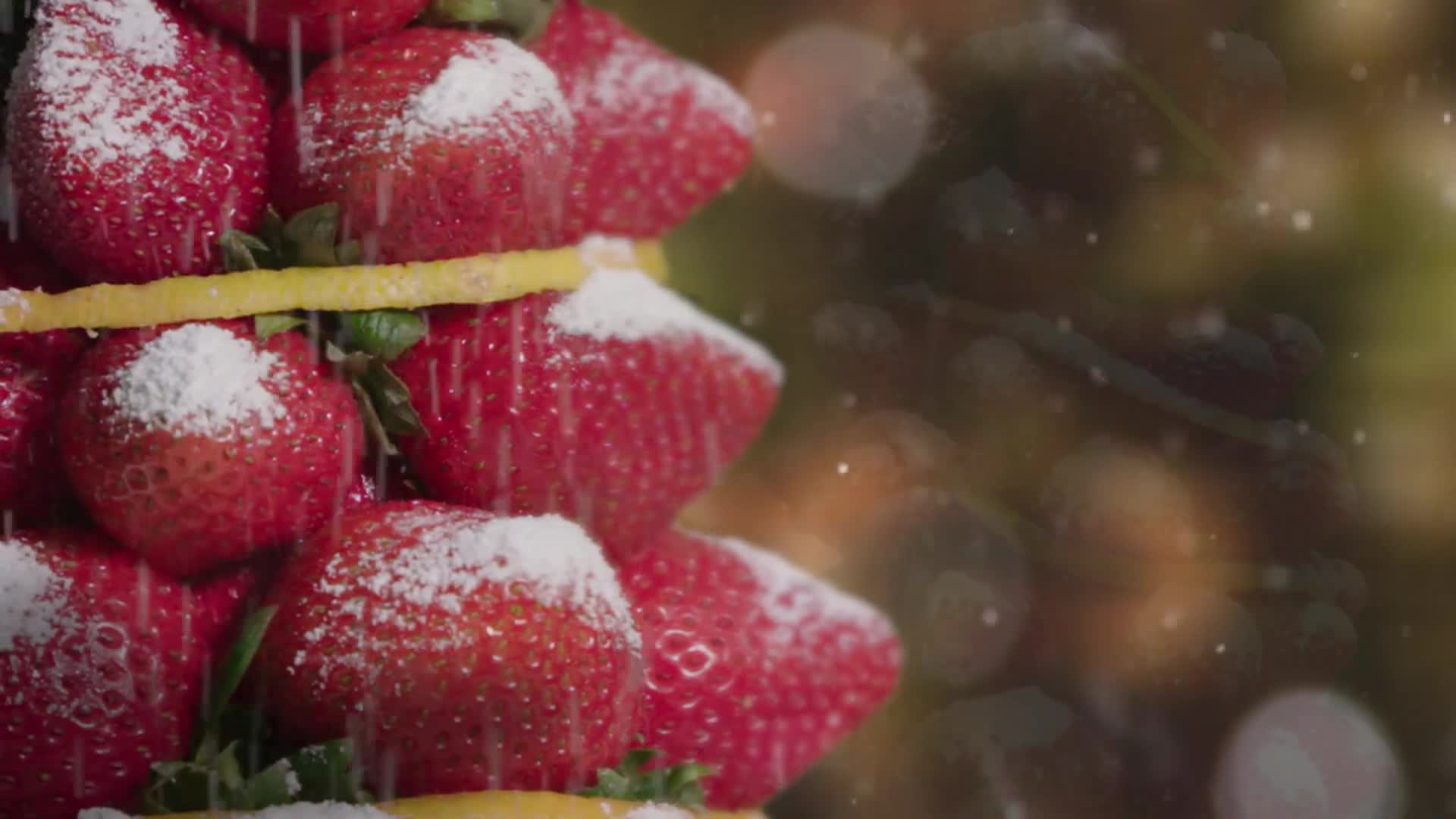 Happy Holidays from Fresh From Florida