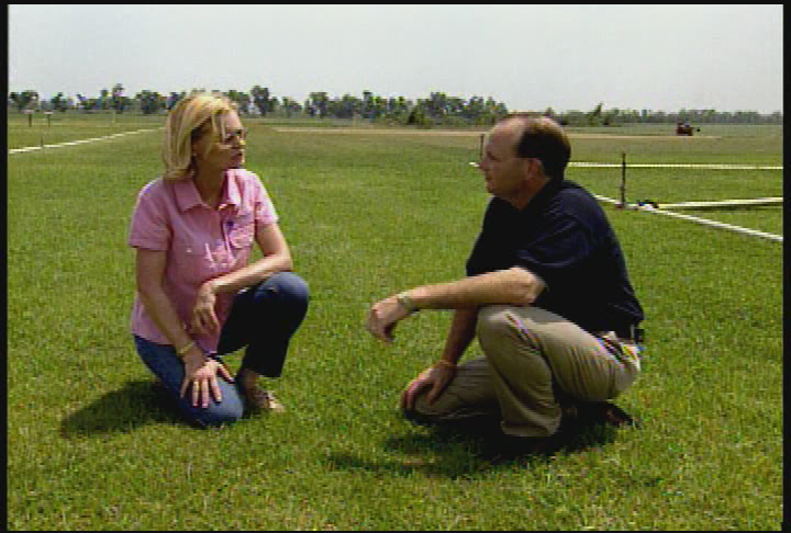 Thumbnail image for Florida's Lawns & Lawncare